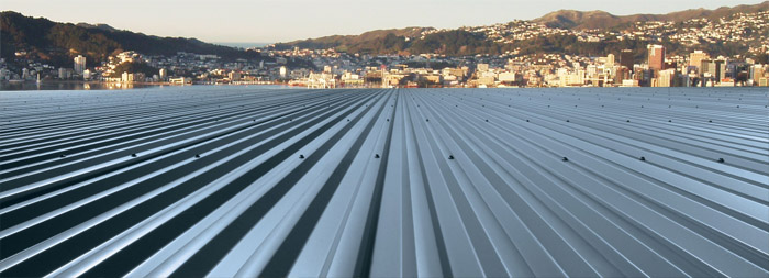 Wellington roof repairs and maintenance instections